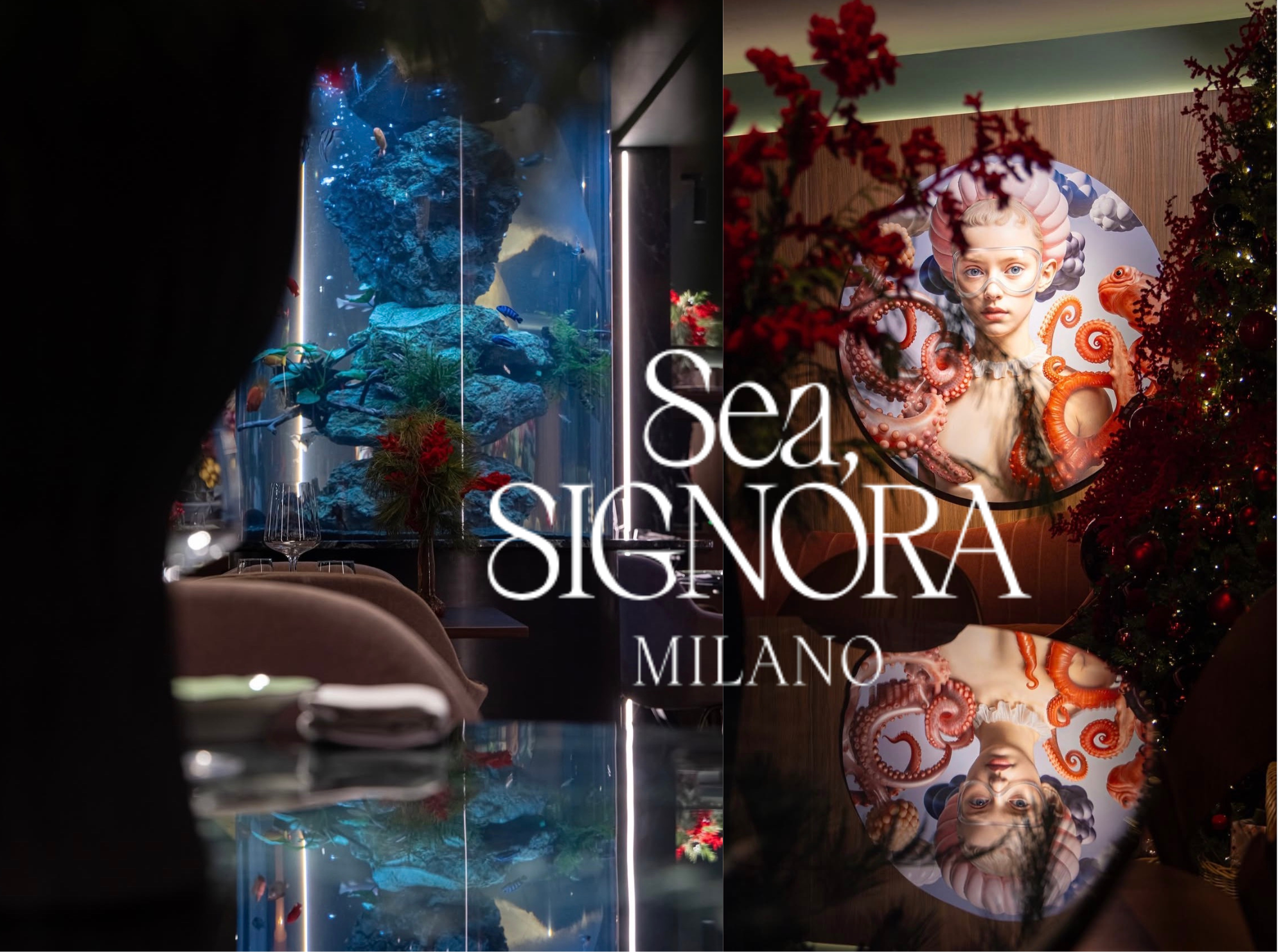 Urbanfile Go Eat | Sea, Signora: il ristorante di mare più scenografico di Brera tra cucina contemporanea, design e serate esclusive